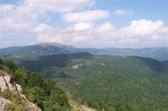 Δρυμός